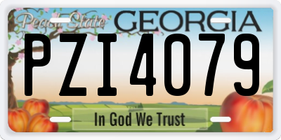 GA license plate PZI4079