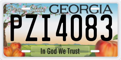 GA license plate PZI4083