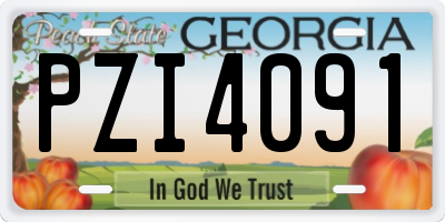 GA license plate PZI4091