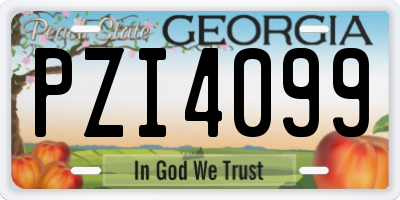 GA license plate PZI4099