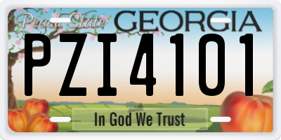 GA license plate PZI4101