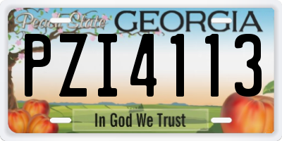 GA license plate PZI4113