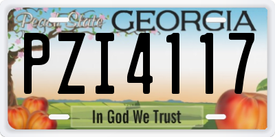 GA license plate PZI4117