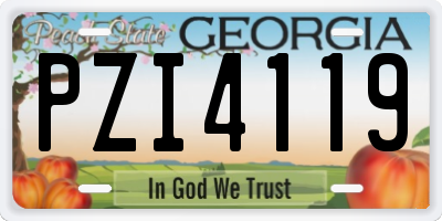 GA license plate PZI4119