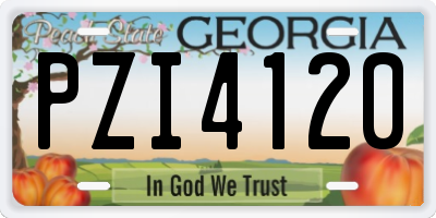 GA license plate PZI4120