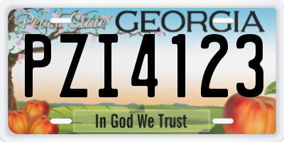 GA license plate PZI4123