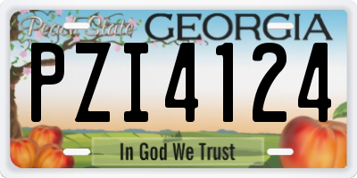 GA license plate PZI4124