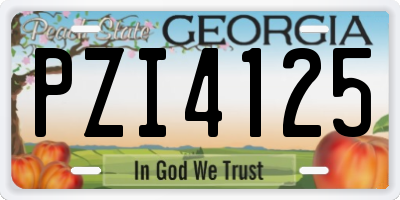 GA license plate PZI4125