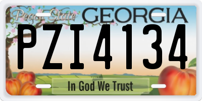 GA license plate PZI4134