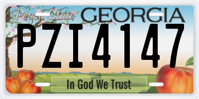 GA license plate PZI4147
