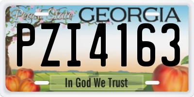 GA license plate PZI4163