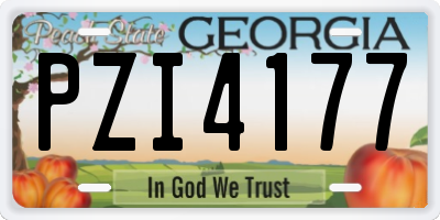 GA license plate PZI4177