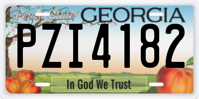 GA license plate PZI4182