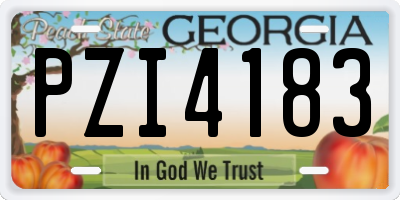 GA license plate PZI4183