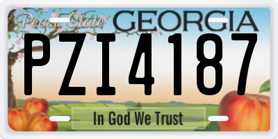 GA license plate PZI4187