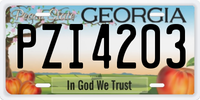 GA license plate PZI4203