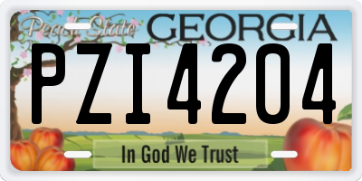 GA license plate PZI4204