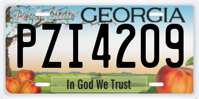 GA license plate PZI4209
