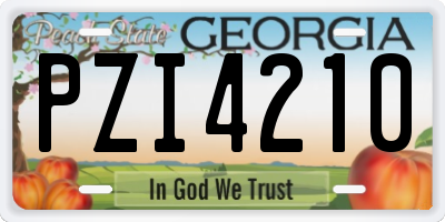 GA license plate PZI4210