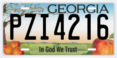 GA license plate PZI4216