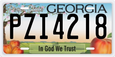 GA license plate PZI4218