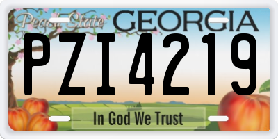 GA license plate PZI4219