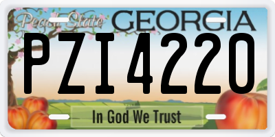 GA license plate PZI4220