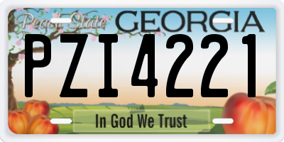 GA license plate PZI4221