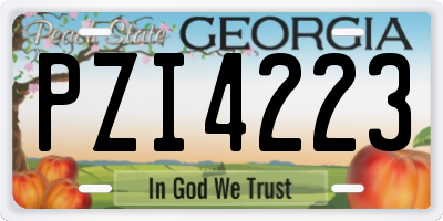 GA license plate PZI4223