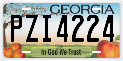 GA license plate PZI4224