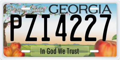 GA license plate PZI4227