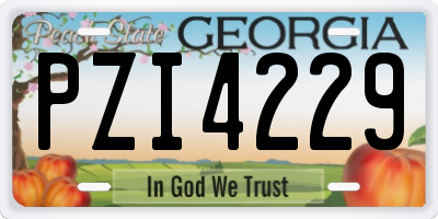 GA license plate PZI4229