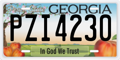 GA license plate PZI4230