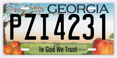 GA license plate PZI4231