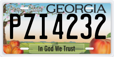 GA license plate PZI4232