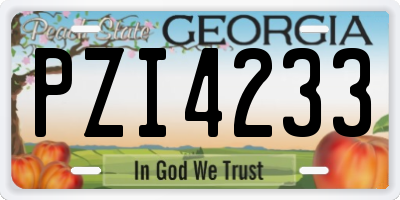 GA license plate PZI4233