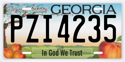 GA license plate PZI4235