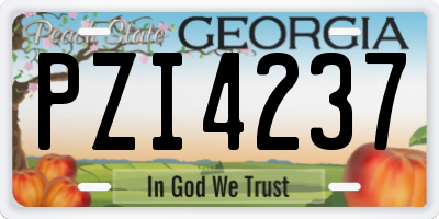 GA license plate PZI4237