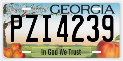 GA license plate PZI4239