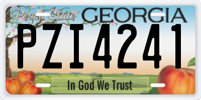GA license plate PZI4241