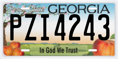 GA license plate PZI4243