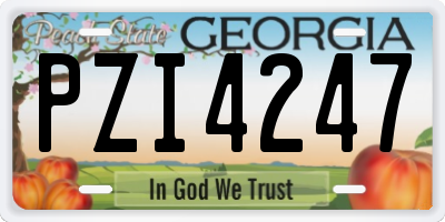 GA license plate PZI4247