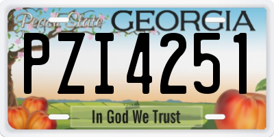 GA license plate PZI4251