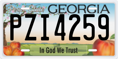 GA license plate PZI4259