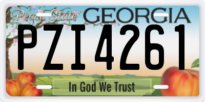 GA license plate PZI4261