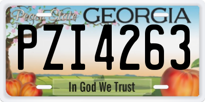 GA license plate PZI4263