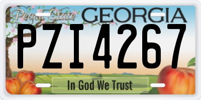 GA license plate PZI4267