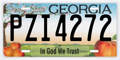 GA license plate PZI4272