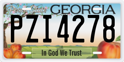 GA license plate PZI4278