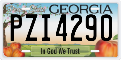 GA license plate PZI4290